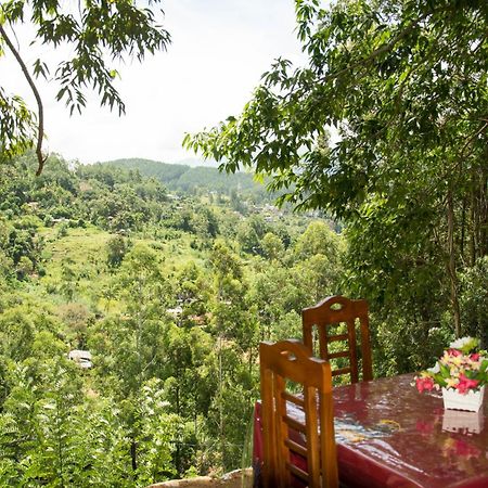 Rose Dale Homestay Ella Buitenkant foto