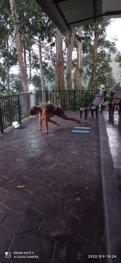 Rose Dale Homestay Ella Buitenkant foto