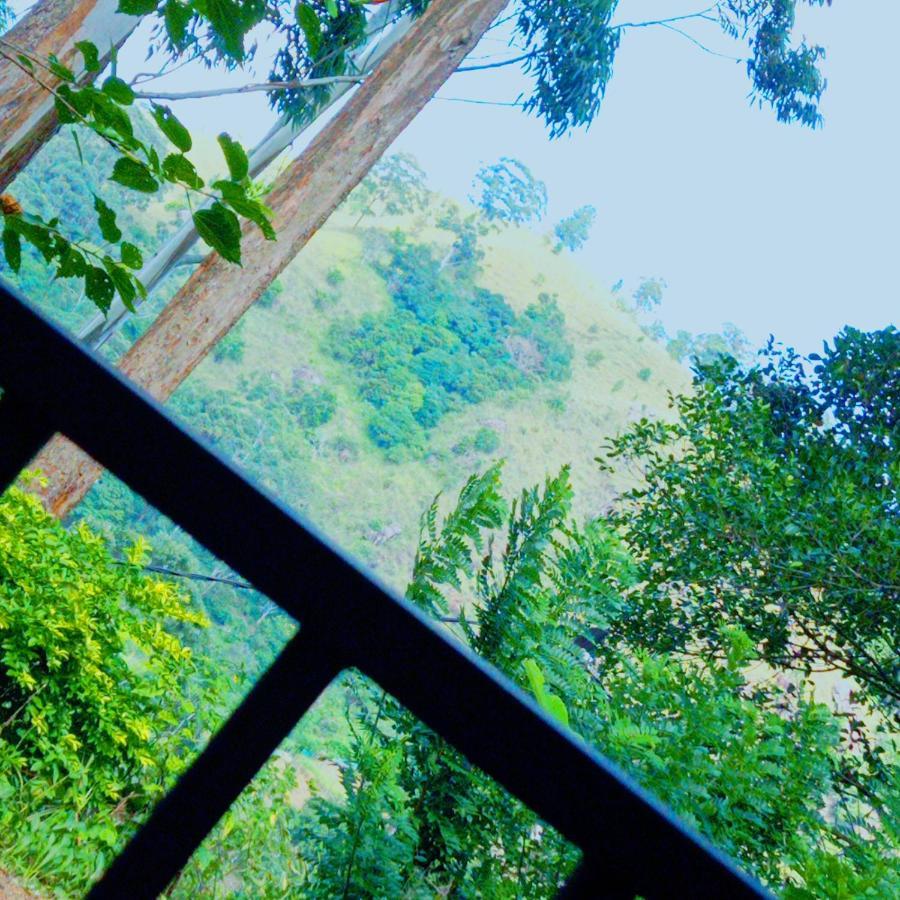 Rose Dale Homestay Ella Buitenkant foto