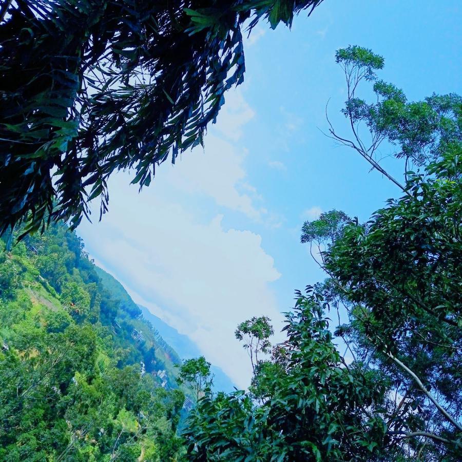 Rose Dale Homestay Ella Buitenkant foto