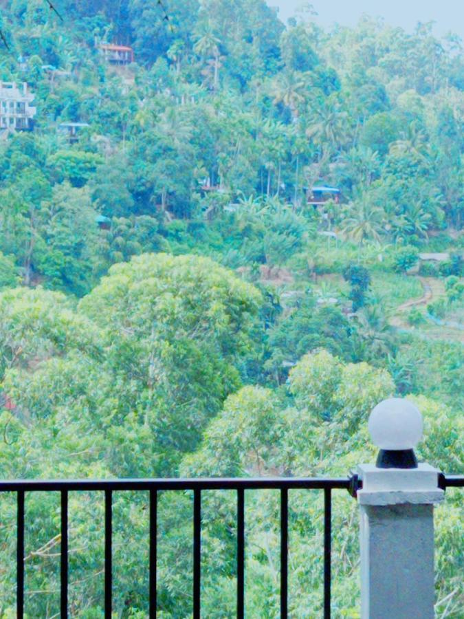 Rose Dale Homestay Ella Buitenkant foto