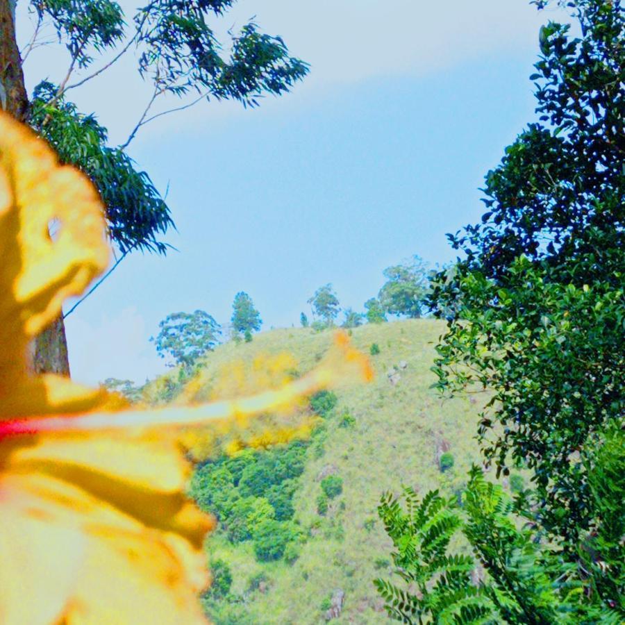 Rose Dale Homestay Ella Buitenkant foto