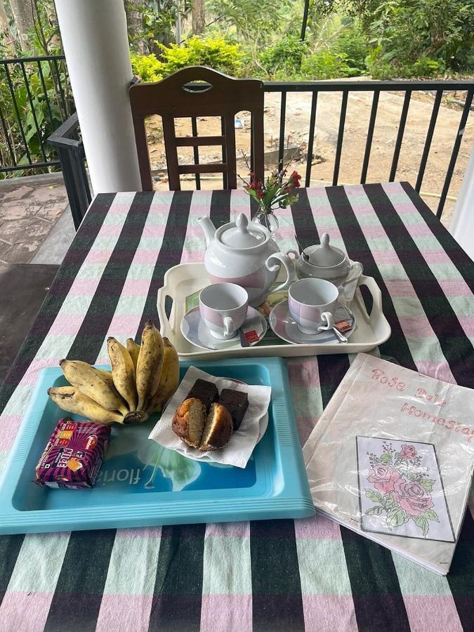 Rose Dale Homestay Ella Buitenkant foto
