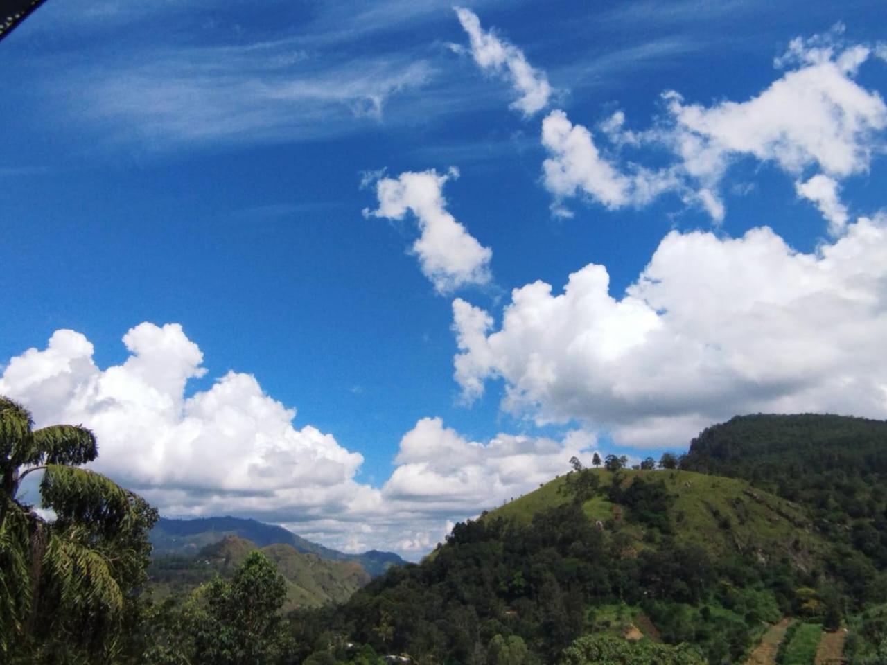 Rose Dale Homestay Ella Buitenkant foto