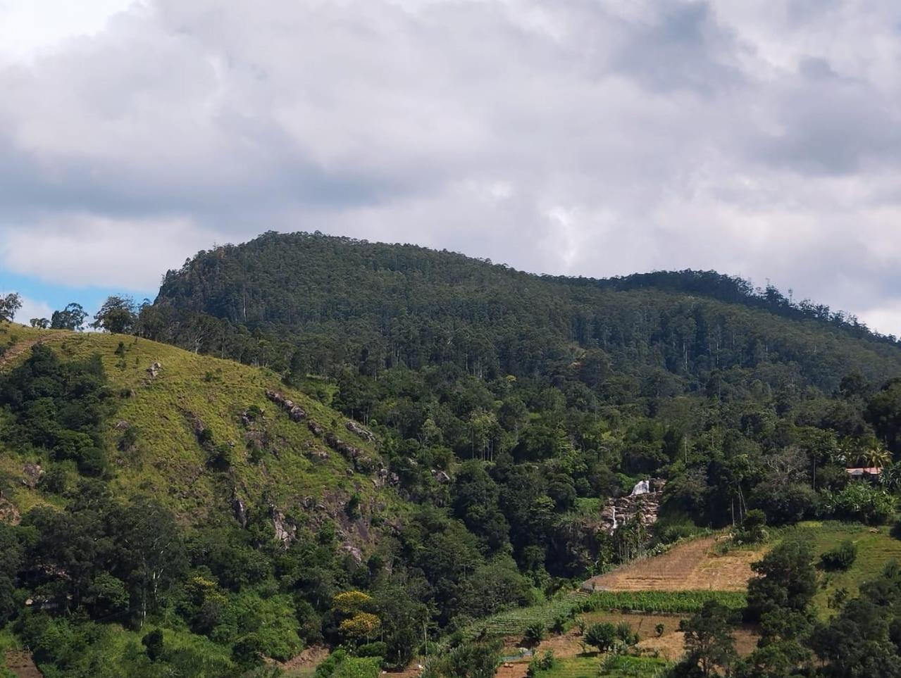 Rose Dale Homestay Ella Buitenkant foto