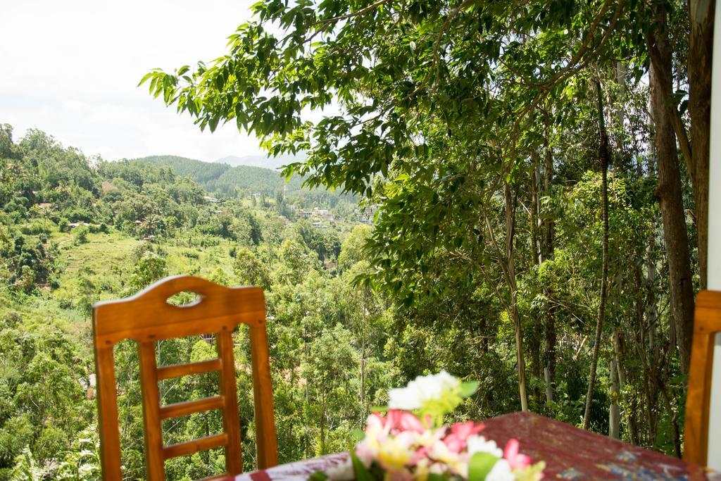 Rose Dale Homestay Ella Buitenkant foto
