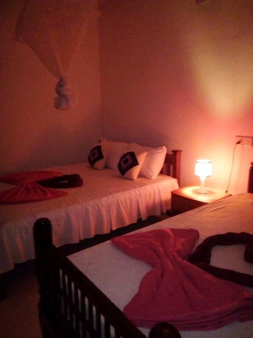 Rose Dale Homestay Ella Buitenkant foto