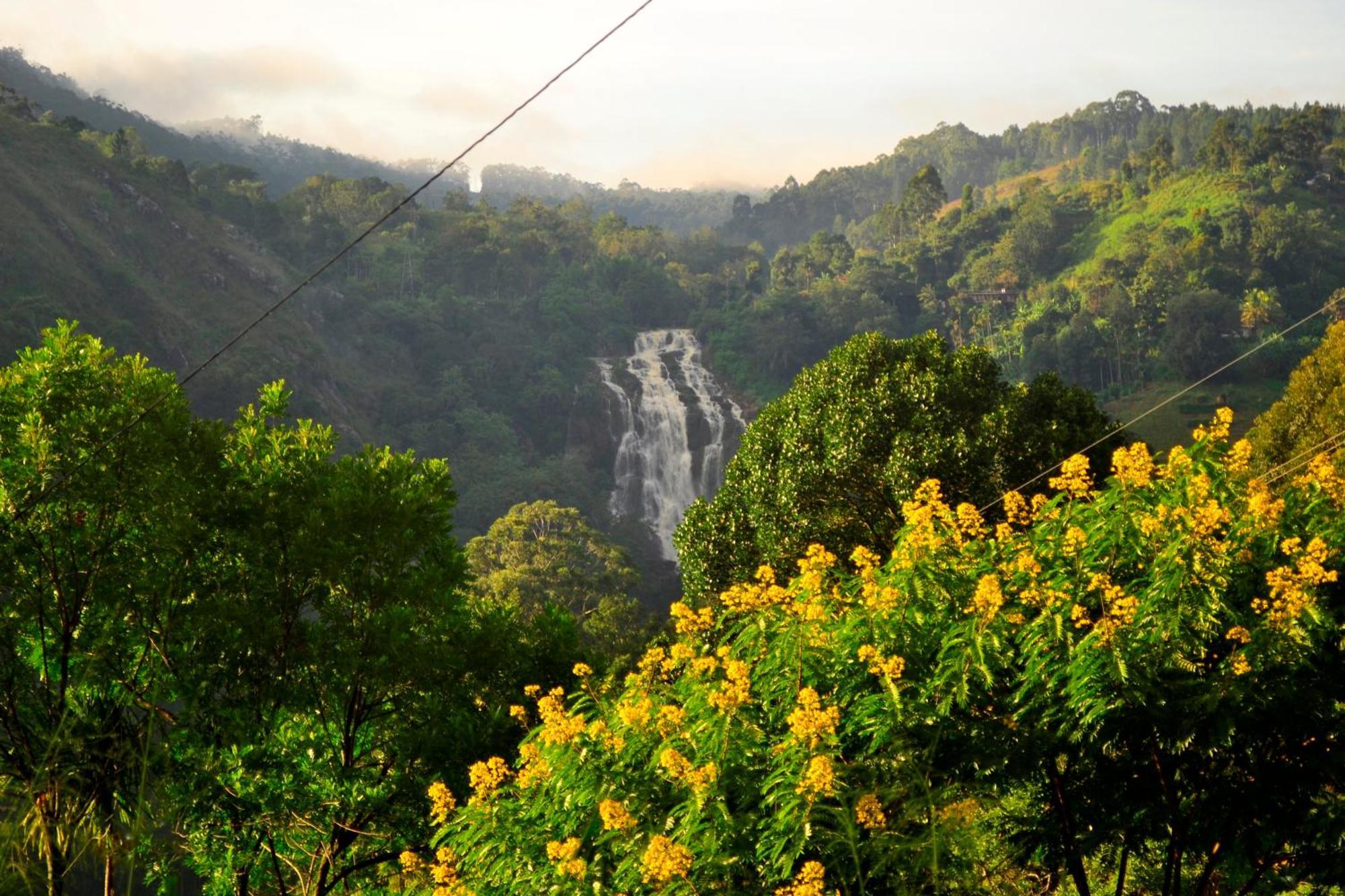 Rose Dale Homestay Ella Buitenkant foto