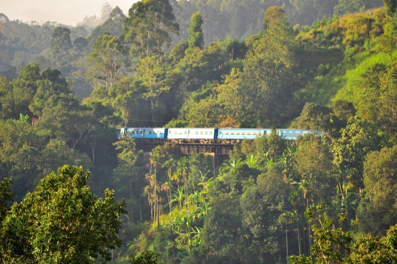 Rose Dale Homestay Ella Buitenkant foto