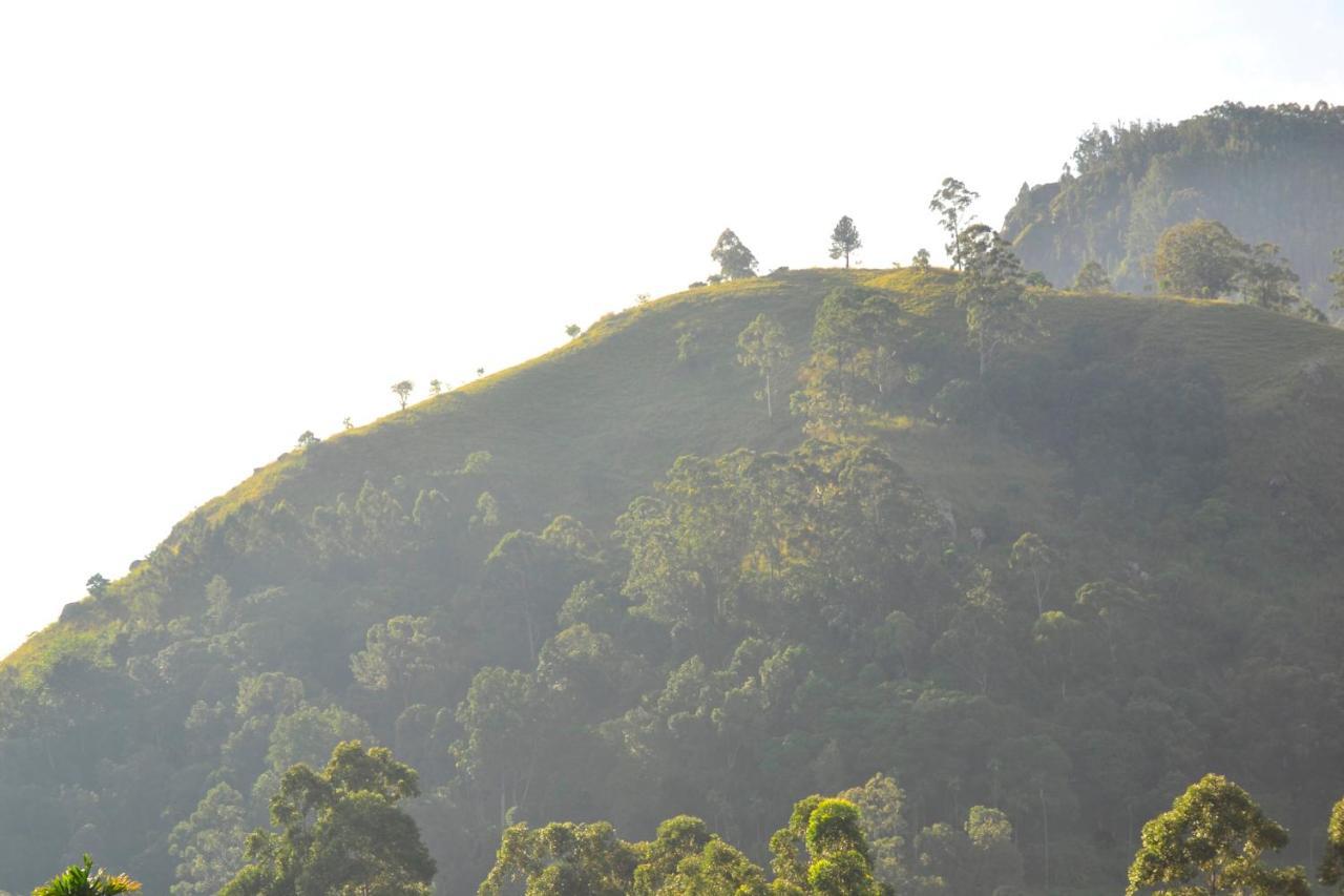 Rose Dale Homestay Ella Buitenkant foto
