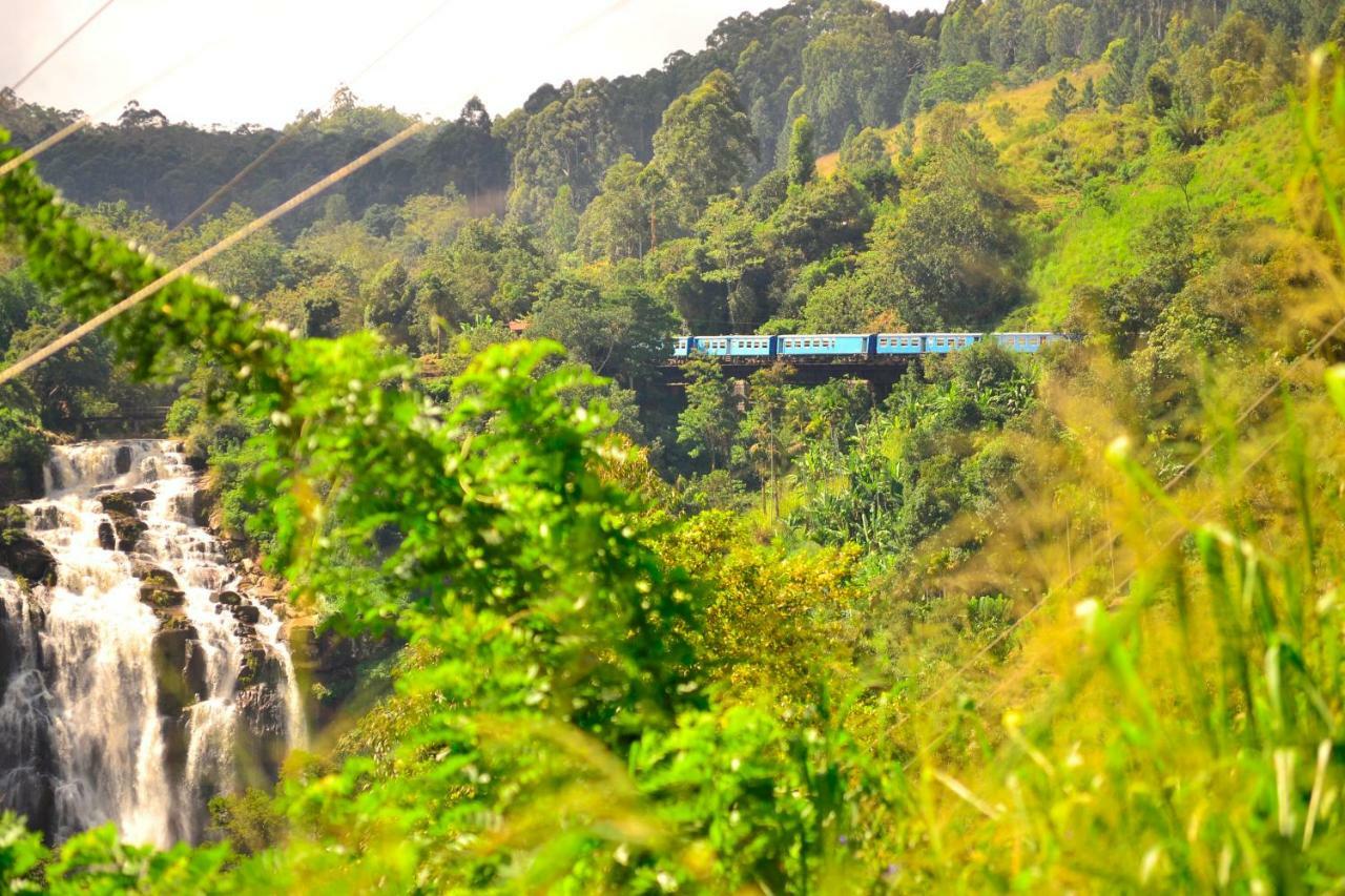 Rose Dale Homestay Ella Buitenkant foto