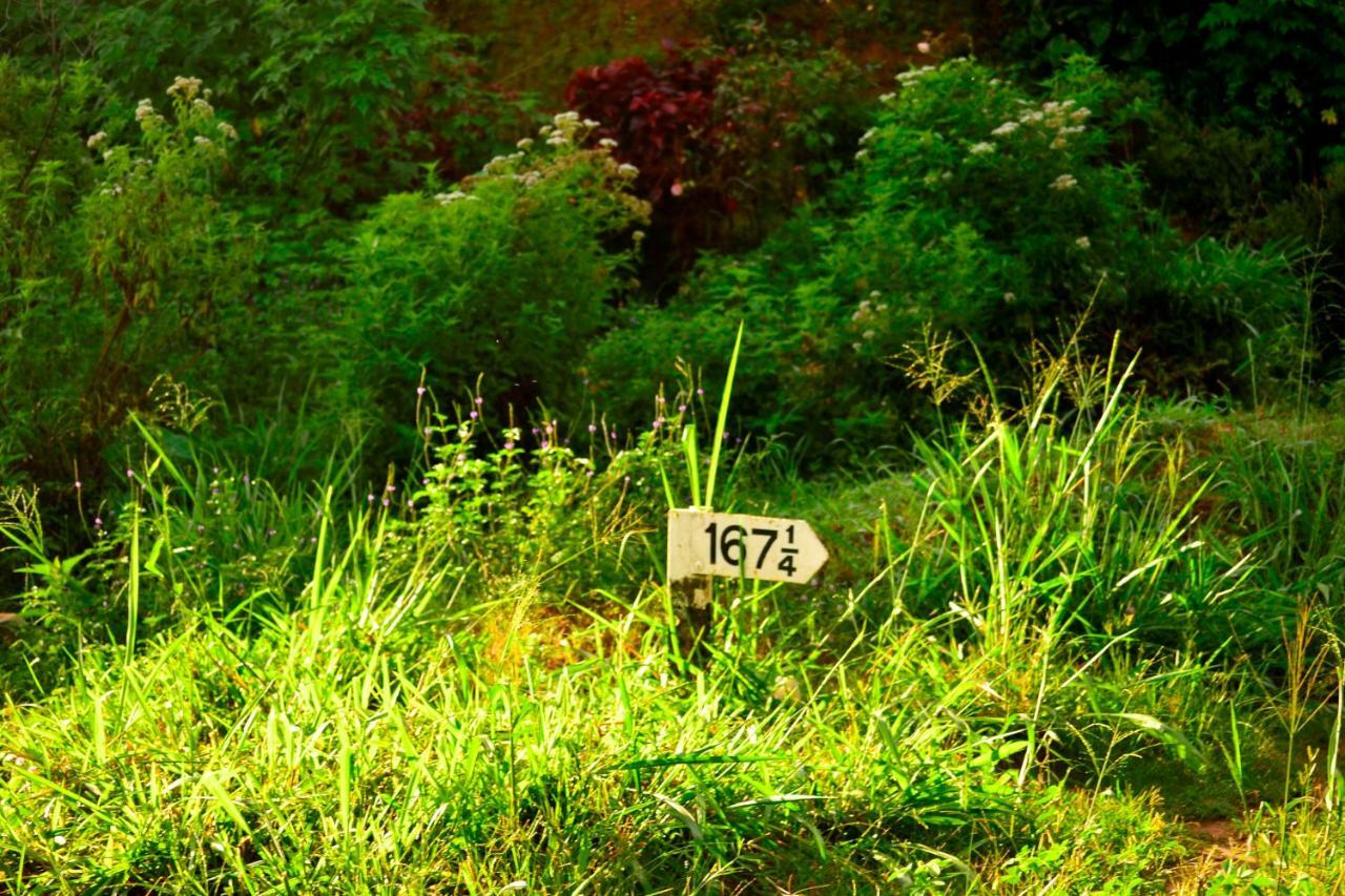 Rose Dale Homestay Ella Buitenkant foto