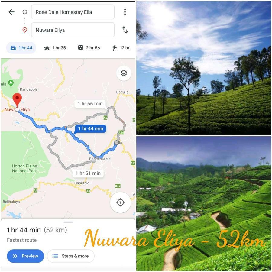 Rose Dale Homestay Ella Buitenkant foto