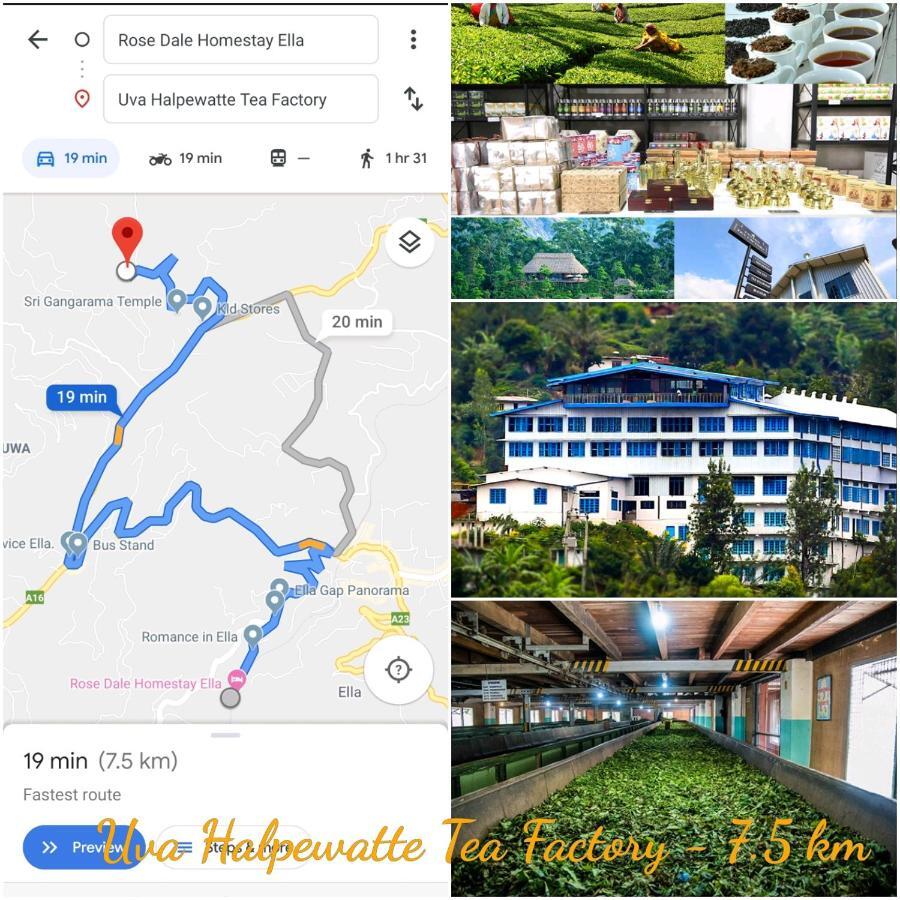 Rose Dale Homestay Ella Buitenkant foto